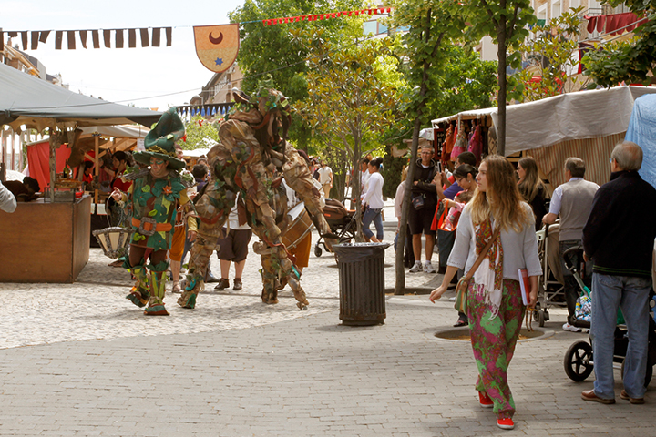 pasacalles-las-rozas