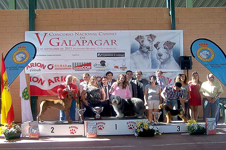 concurso-canino-galapagar