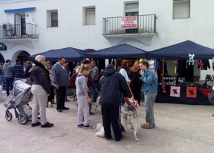 sanidad feria