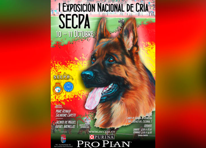 Exposición Nacional Canina de Cría de Pastor Alemán san lorenzo