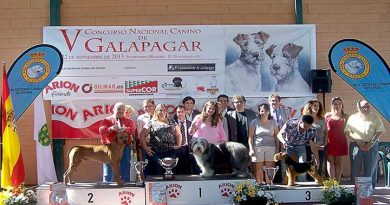 concurso-canino-galapagar