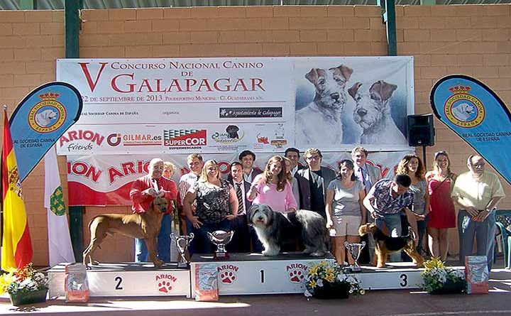 concurso-canino-galapagar