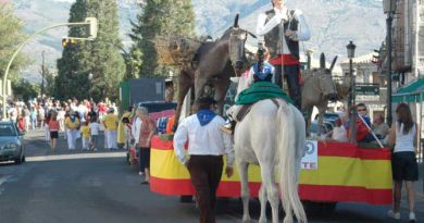 romeria-la-jarosa