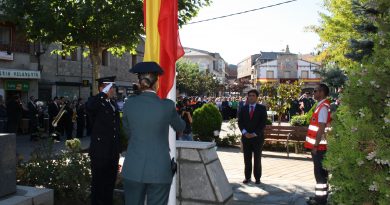 homenaje bandera4