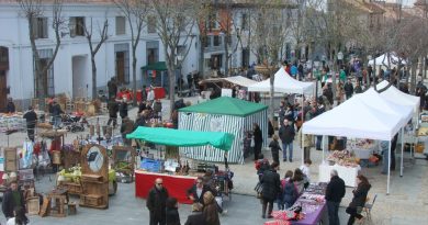 mercado aire libre 3