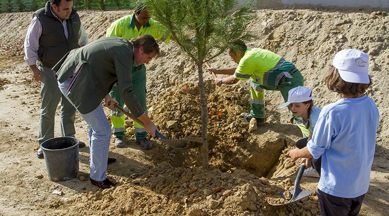 reforestacion