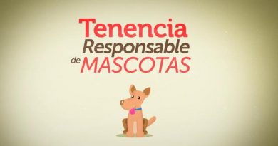 mascota