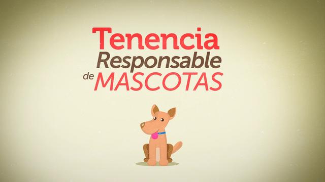 mascota