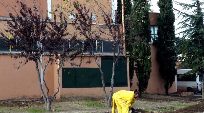 Polideportivo Trabajos de mejora de Jardines