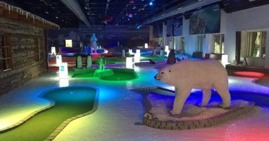 Nuevas ofertas de ocio en Madrid SnowZone Nuevas ofertas de ocio en Madrid SnowZone