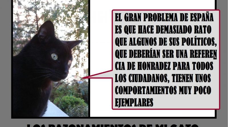 Reflexiones de mi gato