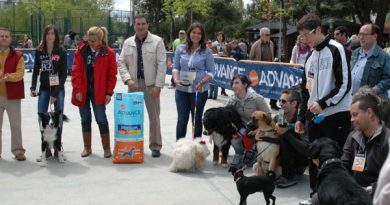 jornada animales collado villalba