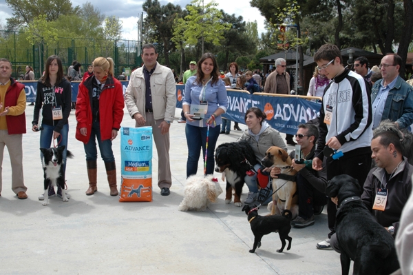 jornada animales collado villalba