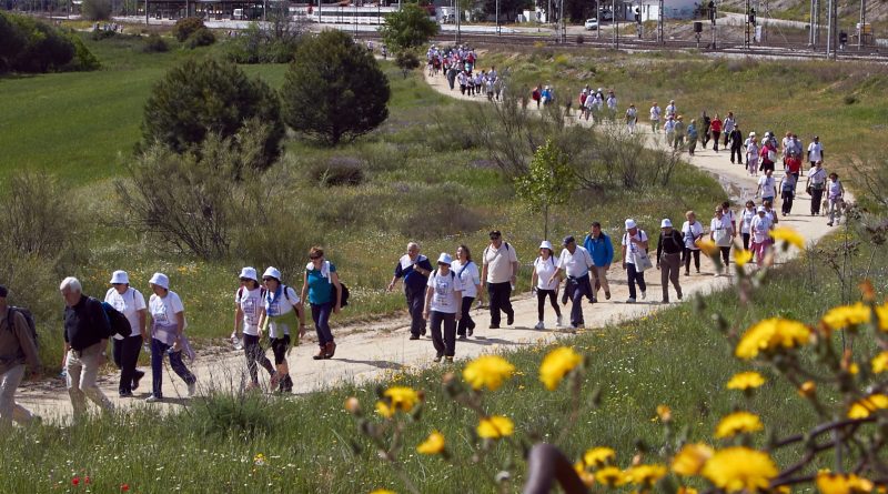 marcha popular mayores las rozas