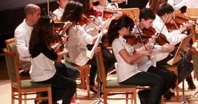 escuela de música y danza las rozas