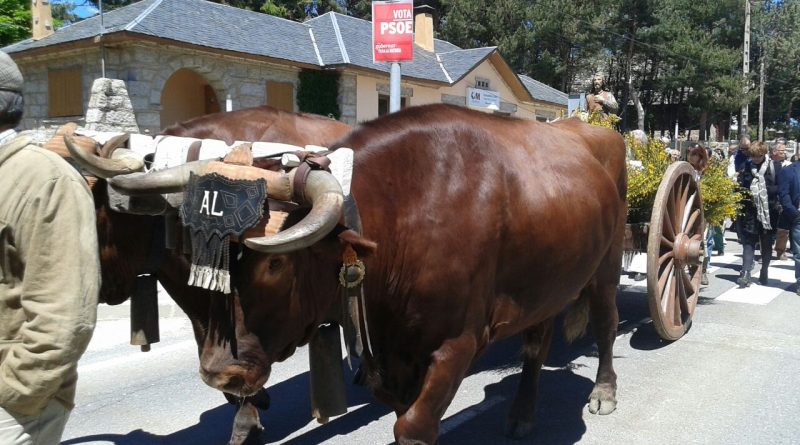 fiestas santa maría de la alameda