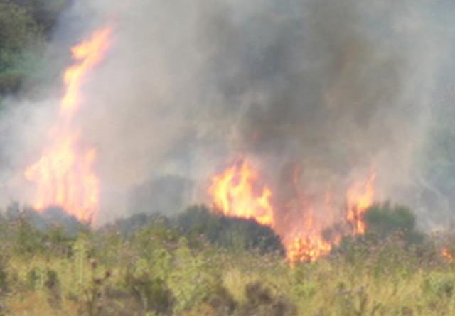 normativa maquinaria forestal madrid