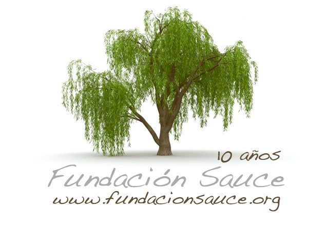 fundación sauce 10 años