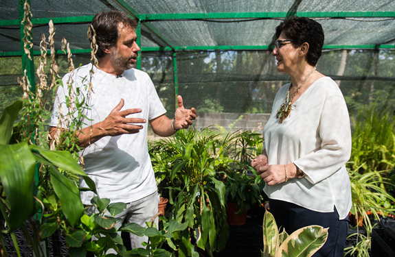 servicio hospital plantas pozuelo