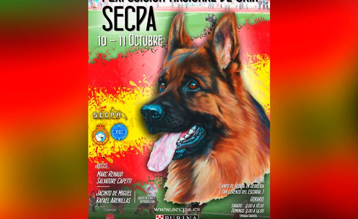 Exposición Nacional Canina de Cría de Pastor Alemán san lorenzo