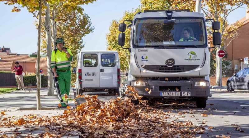 servicio recogida hojas boadilla