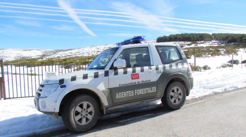 agentes forestales madrid