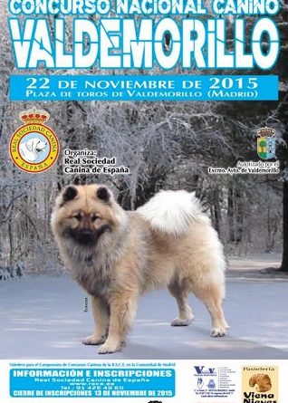 XVII Concurso Nacional Canino Valdemorillo