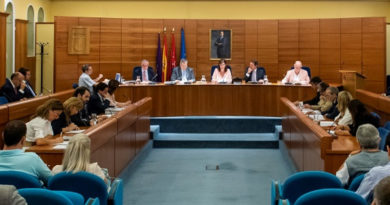 Pleno del Ayuntamiento.