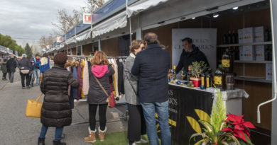 Pozuelo.Feria Regalo Navideño