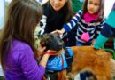 Talleres escolares para impulsar la educación en el cuidado responsable de mascotas Talleres escolares para impulsar la educación en el cuidado responsable de mascotas