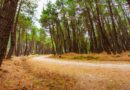 La Comunidad regula la gestión y los usos públicos del Parque Nacional de la Sierra de Guadarrama La Comunidad regula la gestión y los usos públicos del Parque Nacional de la Sierra de Guadarrama