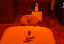 Un Halloween diferente, relax y tensión se mezclan en Zen Mi Yu Galapagar Un Halloween diferente, relax y tensión se mezclan en Zen Mi Yu Galapagar