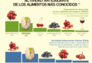 Un nuevo estudio revela el poder antioxidante de los pistachos y sus mecanismos de protección Un nuevo estudio revela el poder antioxidante de los pistachos y sus mecanismos de protección
