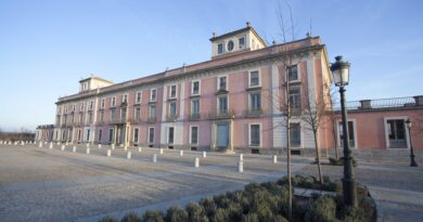 <strong>Boadilla ofrece visitas guiadas al Palacio en el puente de la Inmaculada</strong> <strong>Boadilla ofrece visitas guiadas al Palacio en el puente de la Inmaculada</strong>