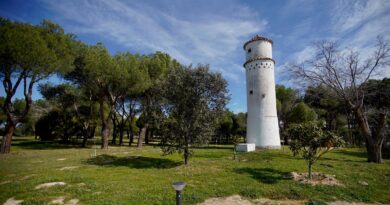 <strong>Abre sus puertas el Centro del Medio Ambiente ‘La Talaverona’ de Las Rozas</strong> <strong>Abre sus puertas el Centro del Medio Ambiente ‘La Talaverona’ de Las Rozas</strong>