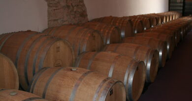 <strong>D.O. Vinos de Madrid. Colmenar de Oreja, el vino hecho arte</strong> <strong>D.O. Vinos de Madrid. Colmenar de Oreja, el vino hecho arte</strong>