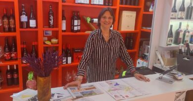 <strong>D.O. Vinos de Madrid</strong> <strong>D.O. Vinos de Madrid</strong>