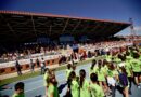 <strong> Las Rozas reunió a más de 11.000 alumnos en las Olimpiadas Escolares</strong> <strong> Las Rozas reunió a más de 11.000 alumnos en las Olimpiadas Escolares</strong>