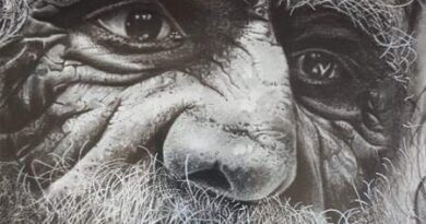 <strong>José Luís López Arnaldo expone su obra ” Esencia en blanco y negro» en Guadarrama</strong> <strong>José Luís López Arnaldo expone su obra ” Esencia en blanco y negro» en Guadarrama</strong>