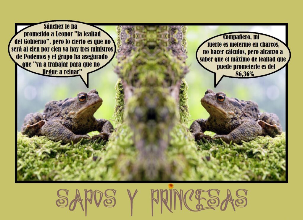 Sapos y princesas Capital Noroeste