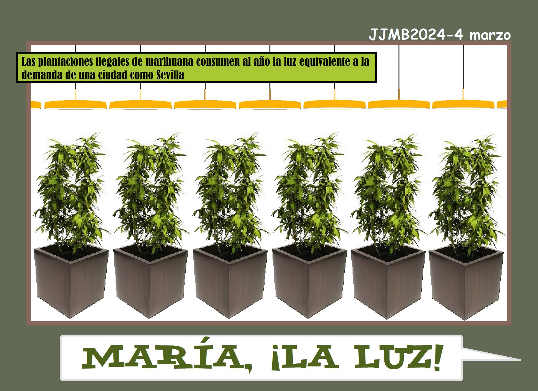 María, ¡la luz! Capital Noroeste