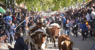 Las Matas celebrará las Fiestas en honor a su patrón, San José Obrero Las Matas celebrará las Fiestas en honor a su patrón, San José Obrero