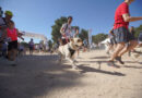 Las Rozas reunirá a más de 100 perros con sus dueños en la II edición de CaniCross y una amplia agenda cultural para el fin de semana Las Rozas reunirá a más de 100 perros con sus dueños en la II edición de CaniCross y una amplia agenda cultural para el fin de semana