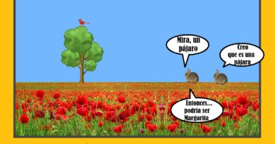 Aves, pájaros y pajarracos