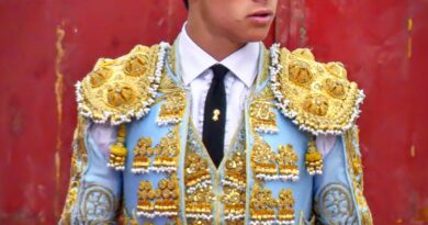 Exitazo en la novillada picada de Las Matas