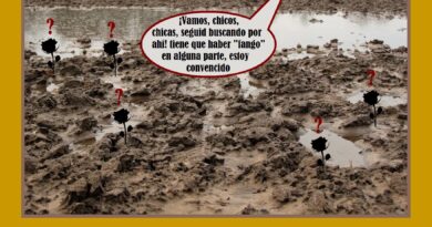 Buscando fango en el lodazal