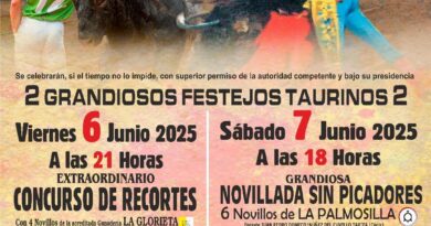 Toros en Las Matas