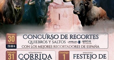 Feria taurina de peso en El Molar en honor a Nuestra Señora del Remolino