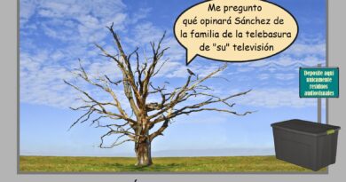 La televisión de unos cuantos