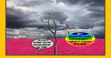 No pidamos peras al olmo